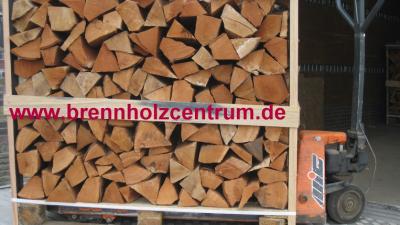 Brennholz und Kaminholz kaufen in 29553 Bienenbüttel